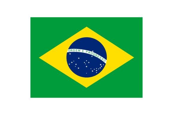Download Vector Icon with Brazil Flag. National S - Flag Collection