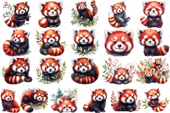 Download 21 Watercolor Red Panda Clipart Bundle - Red Collection