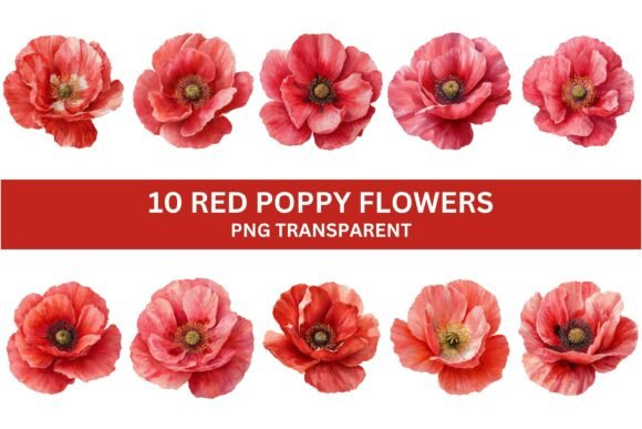 Download 10 Vibrant Red Poppy Flower PNG Set - Red Collection