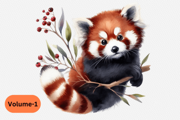 Download Watercolor Red Panda Clipart Volume –1 - Red Collection
