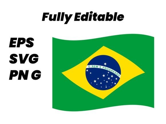 Download Brazil Flag Vector Flat Illustration - Flag Collection